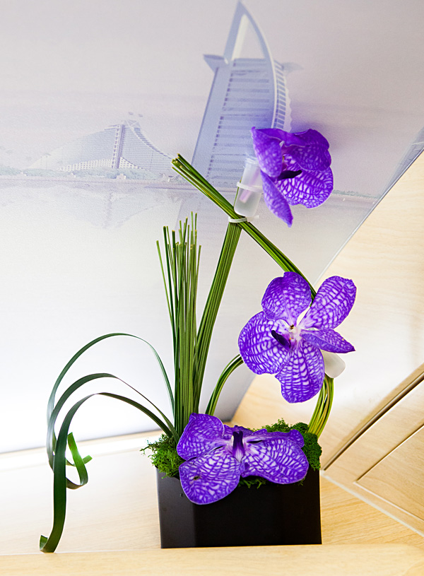 Emirates First Class A380 Shower Spa Flowers EK148