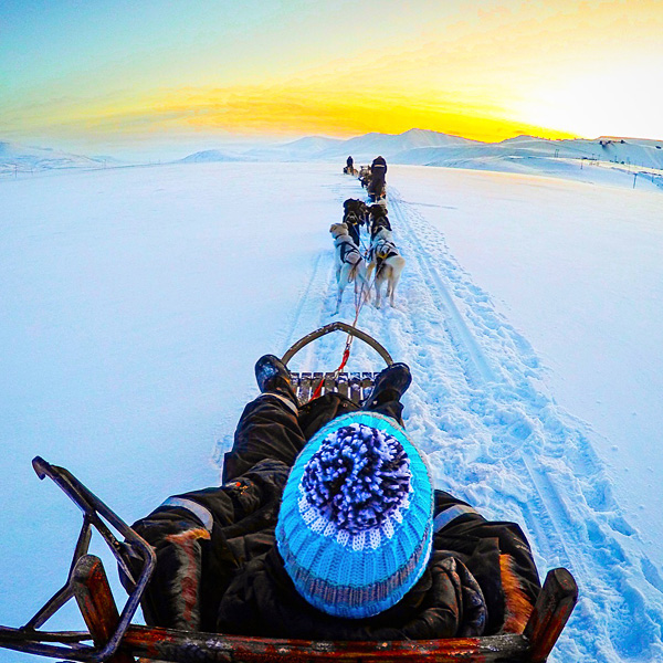 dog sledding svalbard longyearbyen spitsbergen