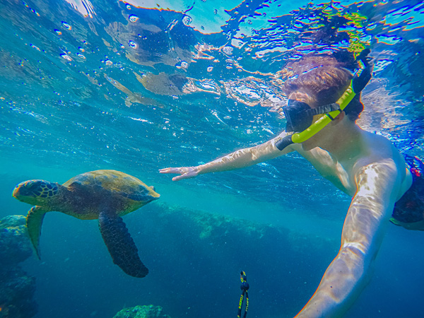 Snorkeling with turtles Na Pali Coast kauai