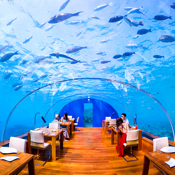 ithaa world's best undersea restaurant conrad maldives rangali island
