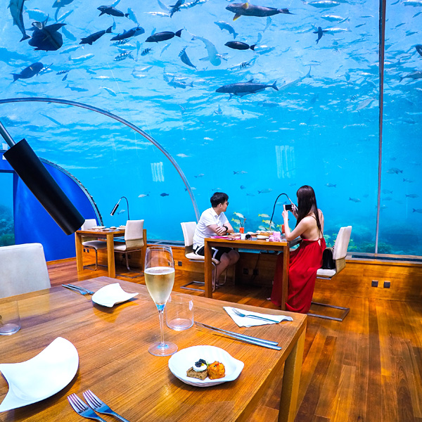 champagne cocktail at ithaa underwater restaurant conrad maldives